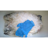 BLÅ FIT-ON ENGANGS HANDSKER - STR L